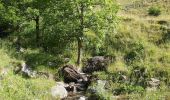 Tocht Stappen Freissinières - parking des cascades, lac de Palluel, lac de Fara vel retour par Dormillouse et le sentier d'hiver  - Photo 10