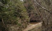 Tour Wandern Le Poizat-Lalleyriat -  le chemin de l'écureuil - Photo 13