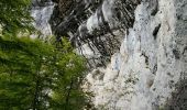 Excursión Senderismo Rencurel - Pas de la Chêvre pas des rages vire de la Ferrière - Photo 5