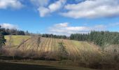 Tour Wandern Ouches - Ouches : de la plaine à la côte roannaise  - Photo 8