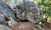 Tocht Stappen Fontainebleau - Fontainebleau sentier Denecourt 9 Est - Photo 15