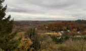 Tour Wandern Domfront en Poiraie - dontfront - Photo 5