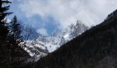 Trail Walking Chamonix-Mont-Blanc - Chamonix Les Bois désert Blanc  - Photo 2