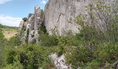 Excursión Senderismo Aureille - Aureille les caisses de Jean Jean - Photo 4