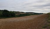 Randonnée Marche Bergicourt - bergicourt - Photo 3