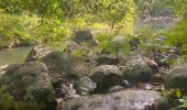 Trail Trail Petit-Bourg - INRA  - Photo 3