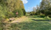 Tour Wandern Monschau - Mützenich Ternell 22 km - Photo 3