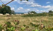 Tour Wandern Val-Revermont - Le mont Myon  - Photo 3