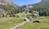 Trail Walking Sainte-Foy-Tarentaise - 240821 - Tignes - leMonal via St Foy et ... chenal - Photo 3