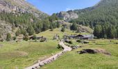 Tour Wandern Sainte-Foy-Tarentaise - 240821 - Tignes - leMonal via St Foy et ... chenal - Photo 3