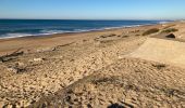 Tocht Stappen Tarnos - Promenade sud côte Landaise  - Photo 9