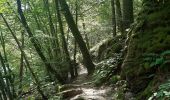 Excursión Senderismo Houffalize - tour du lac des 2 ourthes - barrage de Nisramont  - Photo 18