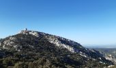 Excursión Senderismo Eyguières - Tour des Opies via le Vallon des Glauges - Photo 3