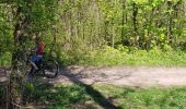 Tocht Mountainbike Mutzig - parcours test VTTAE Mutzig  - Photo 12