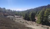 Tour Wandern Vilaflor - Lunar Landscape Hike in Villaflor (Tenerife) - Photo 16