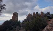 Randonnée Marche Bagnols-en-Forêt - Gorges du Blavet au col de la pierre du coucou - Photo 12