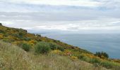 Tour Wandern Collioure - Collioure-le racou - Photo 4