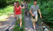 Trail Walking Martelange - Club canin chestrolais juin 2019 - Photo 5