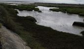 Tour Radtourismus  Saint-Martin-de-Ré - Île de ré - Photo 6