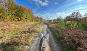 Trail Horseback riding Florenville - Les Epioux - Photo 9