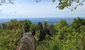 Trail Horseback riding Langensoultzbach - 2023-05-07 WE CVA Langensoultzbach Disteldorf - Photo 3