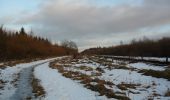 Tour Zu Fuß Schafflund - Durch das Urstromtal der Wallsbek - Photo 5