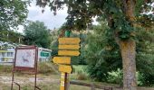 Tocht Stappen Mont Lozère et Goulet - Etape 6 le Bleymard  / Pont Montvert - Photo 19