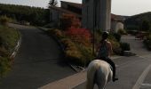 Trail Horseback riding Métairies-Saint-Quirin - point de vue abreschviller  - Photo 7