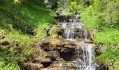 Percorso Marcia Montriond - Cascade d'Ardent- Les Lindarets - Photo 7