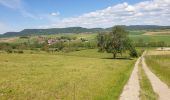 Trail Walking Dossenheim-sur-Zinsel - Le Bastberg depuis Dossenheim-sur-Zinsel - Photo 7