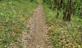 Trail Walking Lissac-sur-Couze - lac de causse - Photo 13