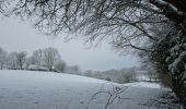 Percorso Marcia Aquisgrana - Aachenerwald ❄️⛄️ - Photo 14