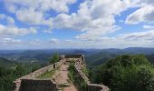 Tocht Te voet Nothweiler - Wegelnburg-Tour - Photo 3