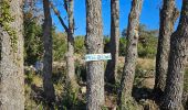 Trail Walking Signes - Montée vers le plateau de la Limatte en partant de Signes  - Photo 9