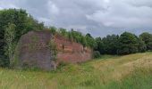 Tour Wandern Abbeville - Abbeville chemin du Pâtis - Photo 9