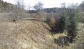 Excursión A pie Gomadingen - Zugangsweg - Eichhalde (Markungsgrenze) - Bitz - Ruine Lichtenstein - Burren - Küche - Hermannsdorf - Photo 10