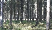 Percorso Marcia Spa - petit tour entre les fagnes Malchamps et James - Photo 13