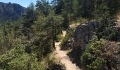 Tocht Stappen Mostuéjouls - Causse de Sauveterre - Villages semi-troglodytes de St Marcellin et des Eglazines. - Photo 12