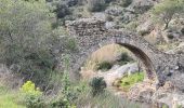 Tour Wandern Grimaud - Grimaud - Sentier de la calade - Photo 19