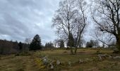 Randonnée Marche Le Tholy - Sentier de la Roche Au Blaireau depuis le gîte  - Photo 7