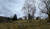 Tour Wandern Le Tholy - Sentier de la Roche Au Blaireau depuis le gîte  - Photo 7