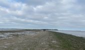 Trail Walking Port-des-Barques - Île Madame - Photo 10