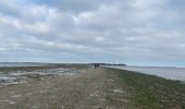 Randonnée Marche Port-des-Barques - Île Madame - Photo 10