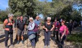 Trail  Le Castellet - CUGES LES PONS - Photo 3