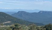 Tocht Stappen Plan-d'Aups-Sainte-Baume - Sté beau me - Photo 11