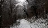 Trail Walking Durbuy - Eneille, Durbuy  - Photo 2