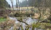 Tocht Stappen Monschau - Rando Eifel des jonquilles narcisses 18,3 - Photo 11