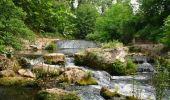 Randonnée Marche Méounes-lès-Montrieux - Boucle autour de Montrieux et bord du Gapeau - Photo 7