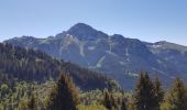 Randonnée Trail Bernex - test appli Thonon les mémises ken - Photo 3