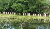 Tour Elektrofahrrad Ronse - Renaix - Berchem - Domaine de Ghellinck - Golf des Ardennes flamandes - Photo 7